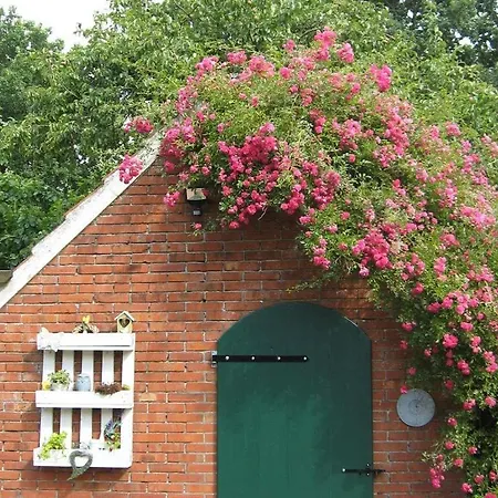 Kroeger, Apartmán Südbrookmerland
